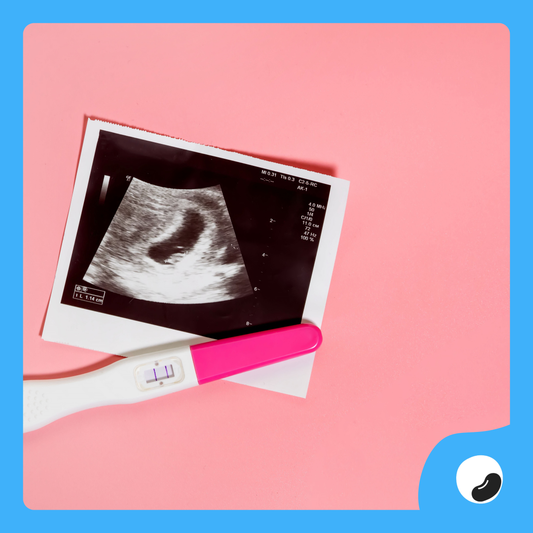 2D Pregnancy Ultrasound - Non Print