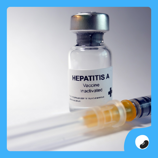 Vaksin Hepatitis A Anak (Havrix Jr)