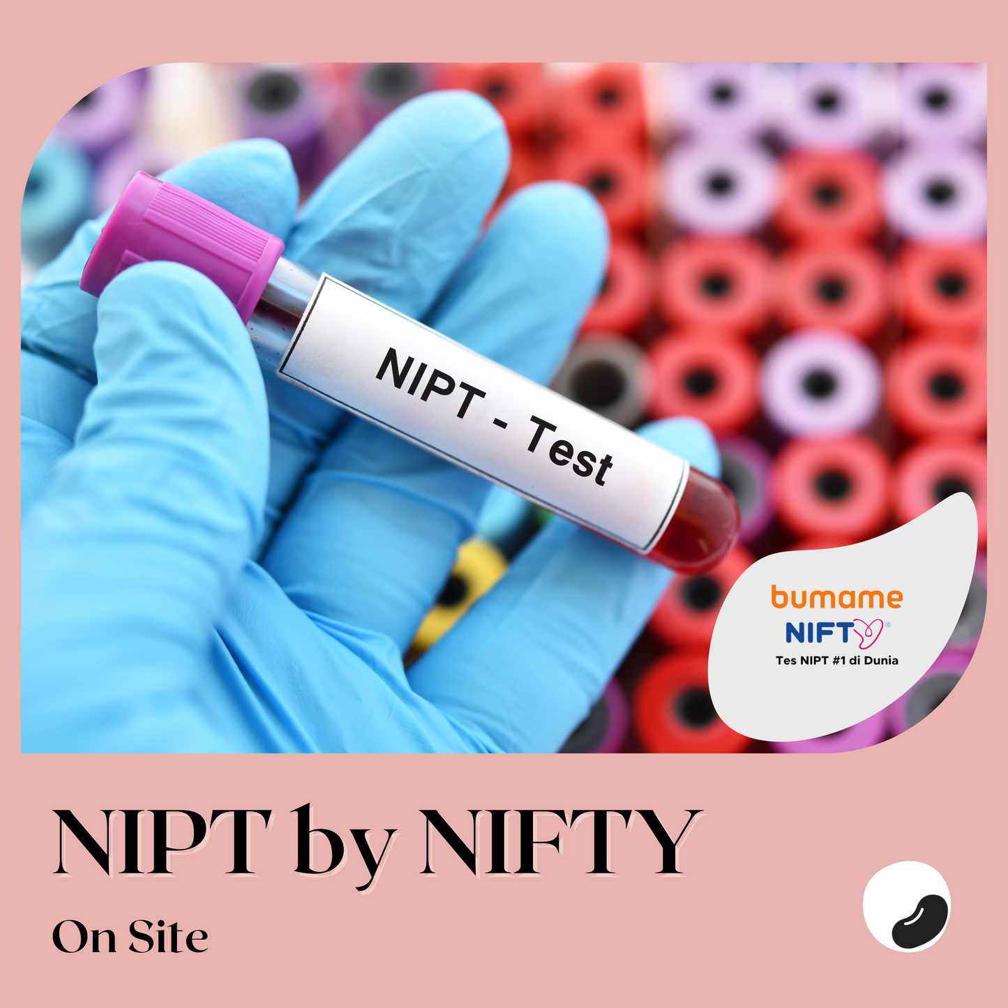 NIPT Test by NIFTY (On Site)