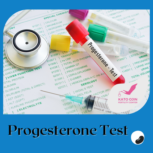 Progesteron Test