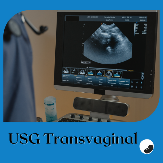 USG Transvaginal Promil - Print