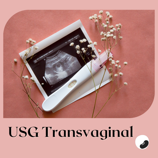 USG Transvaginal Kehamilan - Print