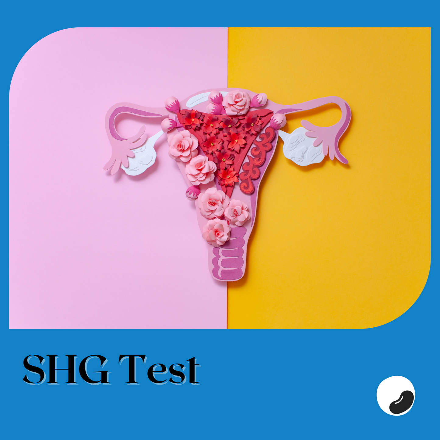 SHG (Sonohystereography)  Test