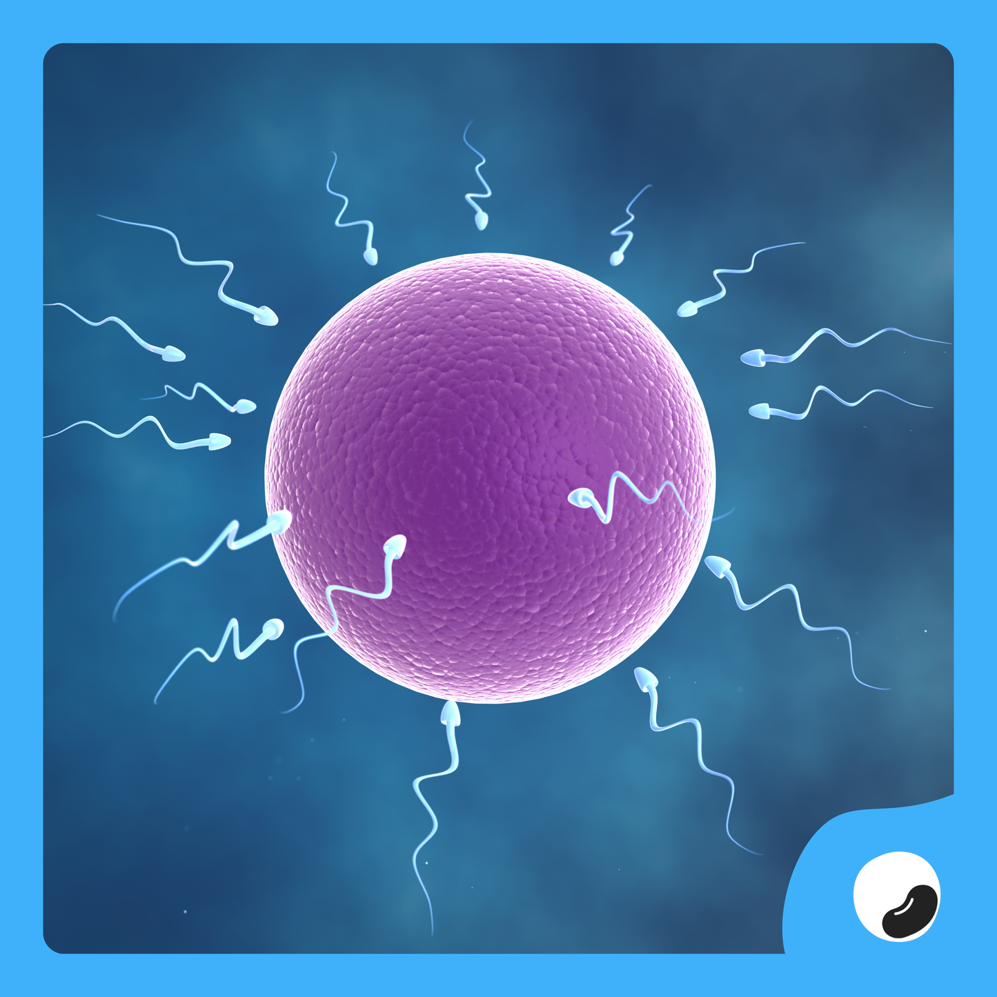 Sperm Analysis