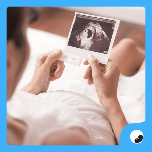 Transvaginal Ultrasound Pregnancy - Print